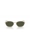 Ray-Ban RB3749 XXL (58 - 18) med Grønne linser og Guld ramme Solbriller