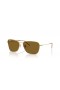 Ray-Ban RBR0102S Campingvogn Omvendt XL (58 - 15) med Brune linser og Guld ramme Solbriller