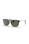 Ray-Ban RB4187 Chris M (54 - 18) med Grønne linser og Tortoise frame Solbriller