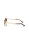 Ray-Ban RB3734 L (56 - 18), med Brune linser og Guld ramme Solbriller