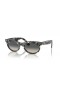 Ray-Ban RB2242 Wayfarer Oval L (53 - 22) med Grå linser og Tortoise frame Solbriller