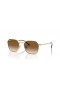 Ray-Ban RB3694 Jim XL (55 - 20) med Brune linser og Guld ramme Solbriller