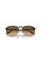 Ray-Ban RB2203 M (52 - 20) med Brune linser og Brun ramme Solbriller
