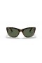 Ray-Ban RB4216 L (56 - 20) med Grønne linser og Tortoise frame Solbriller