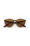 Ray-Ban RB4305F L (53 - 19) med Brune linser og Tortoise frame Solbriller