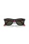 Ray-Ban RB2140 Original Wayfarer X Dia De Los Muertos XXL (54 - 18) med Grønne linser og Sort ramme Solbriller