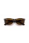 Ray-Ban RB2132 New Wayfarer Klassiske S (52 - 18), med Brune linser og Tortoise frame Solbriller