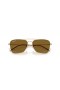 Ray-Ban RBR0102S Campingvogn Omvendt XXL (61 - 15) med Brune linser og Guld ramme Solbriller