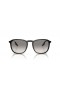 Ray-Ban RB2203 M (52 - 20) med Grå linser og Sort ramme Solbriller