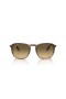 Ray-Ban RB2203 L (55 - 20) med Brune linser og Brun ramme Solbriller