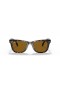 Ray-Ban RB4105 Folding Wayfarer Classic L (50 - 22) med Brune linser og Tortoise frame Solbriller