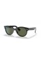 Ray-Ban RB2199 Orion L (52 - 22) med Grønne linser og Sort ramme Solbriller