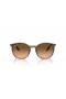 Ray-Ban RB2204 L (54 - 20) med Pink linser og Brun ramme Solbriller