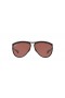 Ray-Ban RB2219 Olympian Aviator M (59 - 13) med Violet glas og Sort ramme Solbriller