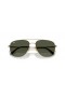 Ray-Ban RB8097 William Titanium XL (59 - 17) med Grønne linser og Guld ramme Solbriller