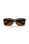 Ray-Ban RB2389F Balorette XL (60 - 19) med Brune linser og Tortoise frame Solbriller