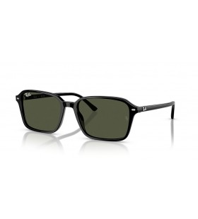 Ray-Ban RB2231 Raimond L (56 - 18) med GrÃ¸nne linser og Sort ramme Solbriller