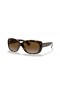 Ray-Ban RB4101 Jackie Ohh M (58 - 17) met Bruine lenzen en Schildpad frame Zonnebrillen