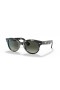 Ray-Ban RB2199 Orion L (52 - 22) met Grijze lenzen en Schildpad frame Zonnebrillen
