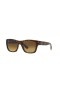 Ray-Ban RB4194 L (53 - 17) met Bruine lenzen en Schildpad frame Zonnebrillen