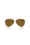 Ray-Ban RBR0101S Aviator Omgekeerde L (59 - 11) met Bruine lenzen en Zilver frame Zonnebrillen