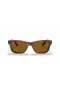 Ray-Ban RB2283 Burbank XL (55 - 20) met Bruine lenzen en Bruin frame Zonnebrillen