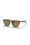 Ray-Ban RB4258 M (50 - 20) met Bruine lenzen en Schildpad frame Zonnebrillen