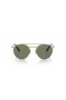 Ray-Ban RB8237 Ronde II Titanium S (50 - 20) met Groene lenzen en Goud frame Zonnebrillen