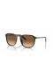 Ray-Ban RB2203 M (52 - 20) met Bruine lenzen en Schildpad frame Zonnebrillen