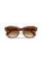 Ray-Ban RB2186 State Street M (49 - 20) met Bruine lenzen en Schildpad frame Zonnebrillen