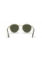 Ray-Ban RB3637 Nieuwe Ronde XS (50 - 21) met Groene lenzen en Goud frame Zonnebrillen