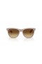 Ray-Ban RB4184 M (54 - 17) met Bruine lenzen en Bruin frame Zonnebrillen