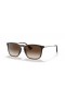 Ray-Ban RB4187 Chris M (54 - 18) met Bruine lenzen en Schildpad frame Zonnebrillen