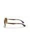 Ray-Ban RB3549 XL (61 - 16) met Bruine lenzen en Goud frame Zonnebrillen