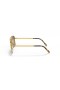 Ray-Ban RB3636 Nieuwe Caravan, M (55 - 15) met Bruine lenzen en Goud frame Zonnebrillen