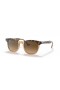 Ray-Ban RB2298F Hawkeye L (54 - 21) met Bruine lenzen en Schildpad frame Zonnebrillen