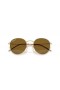 Ray-Ban RBR0103S Ronde Reverse-XL (55 - 21) met Bruine lenzen en Goud frame Zonnebrillen