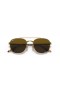 Ray-Ban RB3688 M (55 - 19) met Bruine lenzen en Goud frame Zonnebrillen