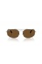 Ray-Ban RB3845 Explorer V XXL (60 - 17) met Bruine lenzen en Zilver frame Zonnebrillen
