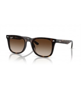 Ray-Ban RB4420 XL (65 - 18) met Bruine lenzen en Schildpad frame Zonnebrillen