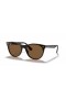 Ray-Ban RB2185 Wayfarer Classic II L (55 - 18) Ruskea linssit ja Kilpikonnan runko Aurinkolasit