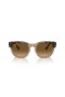 Ray-Ban RB0298SF Mega Hawkeye L (53 - 21) Ruskea linssit ja Kilpikonnan runko Aurinkolasit
