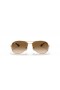 Ray-Ban RB3362-Ohjaamo, M (56 - 14) Ruskea linssit ja Kulta runko Aurinkolasit