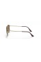Ray-Ban RB3958 Elon XS (47 - 20) Ruskea linssit ja Keltainen runko Aurinkolasit