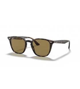 Ray-Ban RB4258 M (- 50 - 20) Ruskea linssit ja Kilpikonnan runko Aurinkolasit