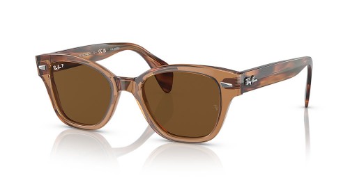 Ray-Ban RB0880SF L (53 - 19) avec des lentilles Brunes et Brown frame Lunettes de soleil