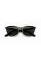 Ray-Ban RB4195 Wayfarer Liteforce L (52 - 20) avec les lentilles Vertes et Noir frame Lunettes de soleil