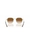 Ray-Ban RB3694 Jim L (53 - 20) avec des lentilles Brunes et d'Or frame Lunettes de soleil