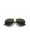 Ray-Ban RB8313 en Fibre de Carbone XL (61 - 13) avec les lentilles Vertes et Silver frame Lunettes de soleil