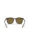 Ray-Ban RB4387F M (55 - 18) avec des lentilles Brunes et Tortoise frame Lunettes de soleil
